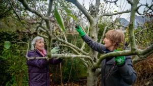 How to Trim Streptocarpus Plant: In-Depth Pruning Guide for Optimal Growth