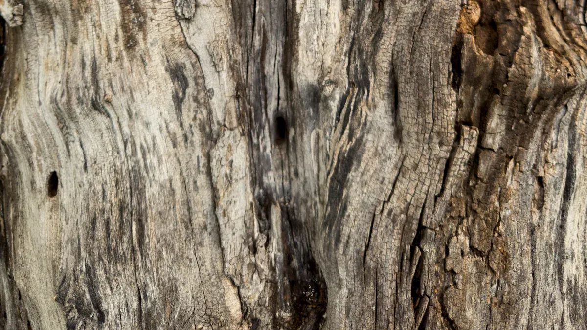Different Types of Tree Bark: Smooth