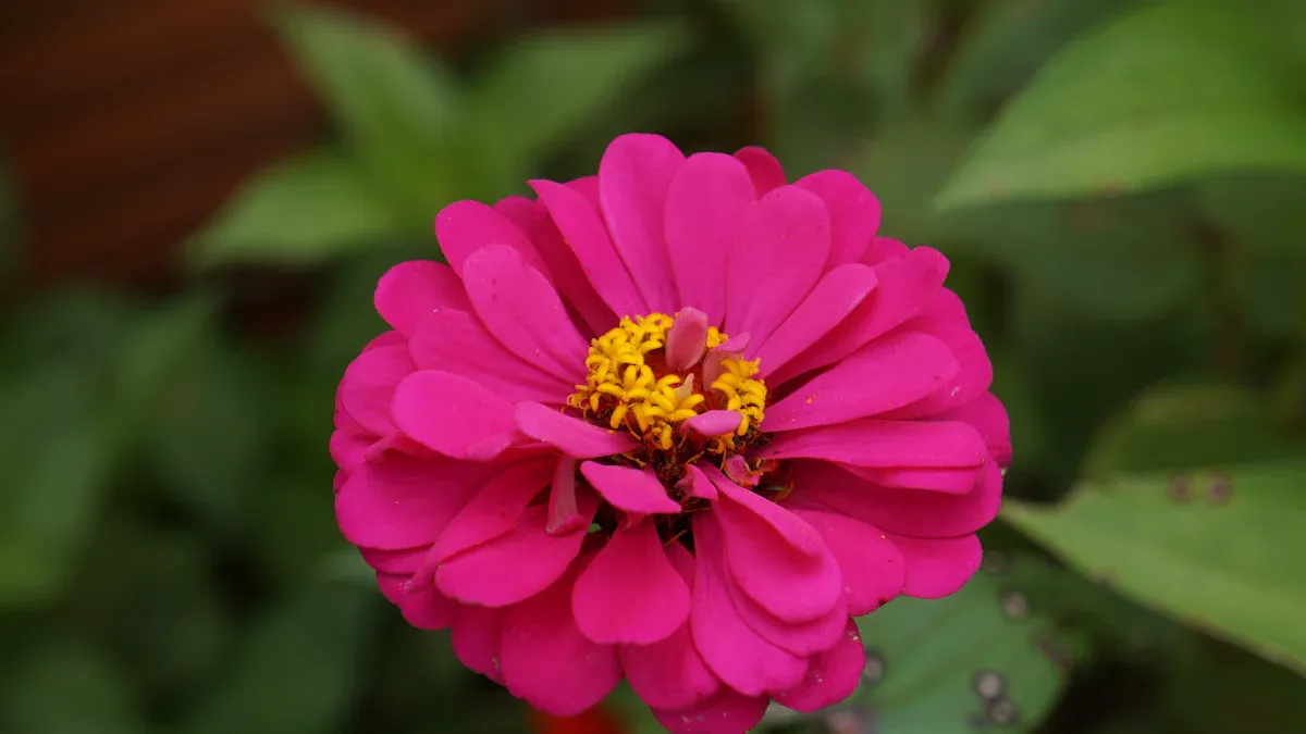 How to Fix Brown Spots