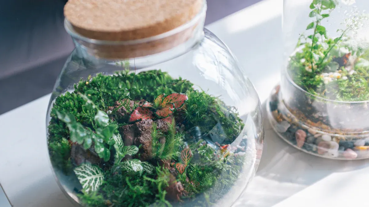 Seasonal Care Tips for Outdoor Terrariums: Best Practices for Year-Round Health