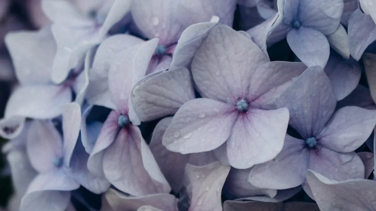 Enhancing Growth in Early Spring