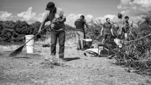 Dethatching vs. Aeration: When to Use Each Method for a Healthier Lawn