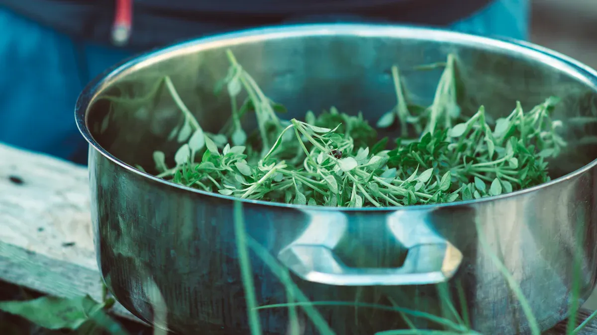 Perilla Plant Harvesting: When to Harvest & How to Maximize Your Crop