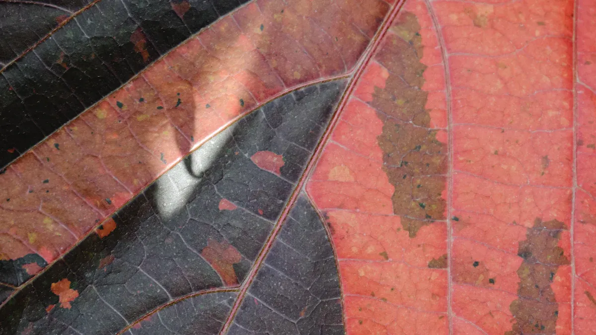 Common Spanish Broom Plant Diseases: Identification and Treatment for Healthy Plants