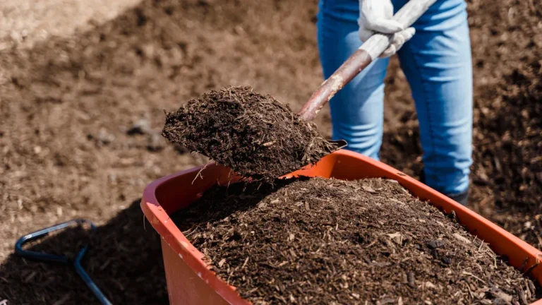 The Importance of Aeration in Your Composting Process