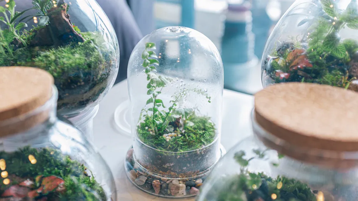 Winter Seasonal Care Tips