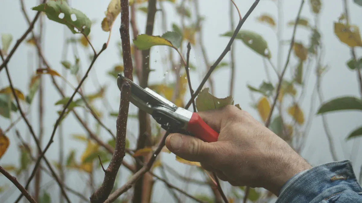 Pruning Techniques