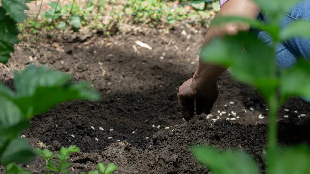 Techniques for Digging Up Native Plants