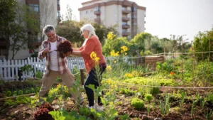 Gardening for Beginners: Zero to Pro Planning, Full Checklist & Care Guide