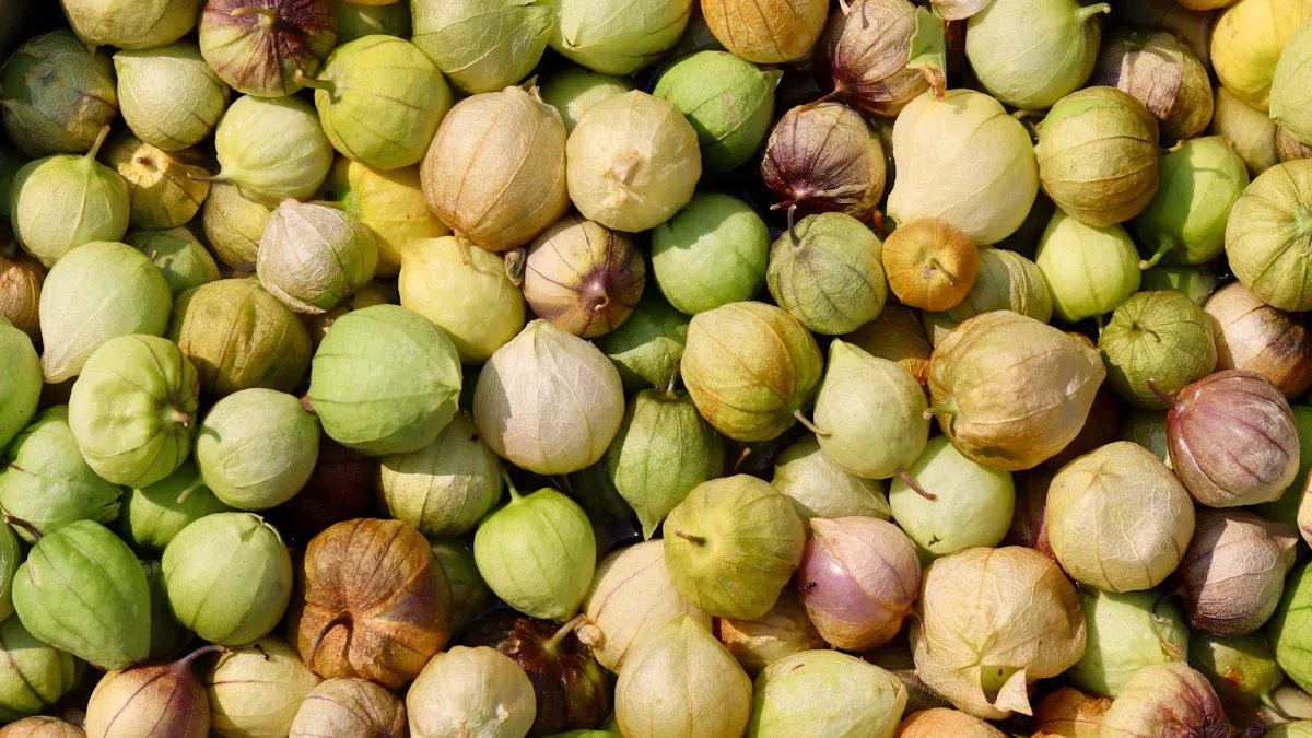 Right Soil Composition