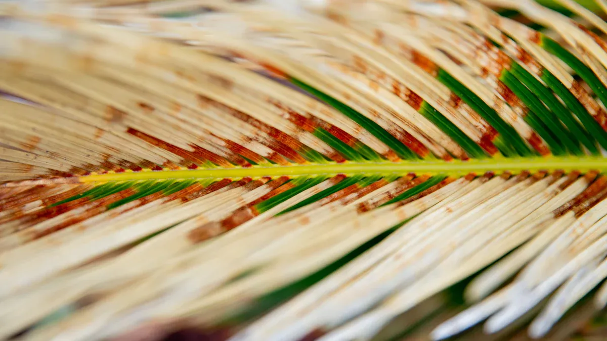 Why Does My Tarragon Plant Have Brown Spots?