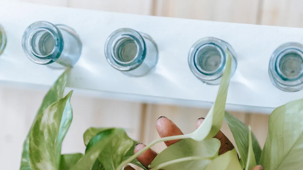 Tools to Trim Devil’s Ivy