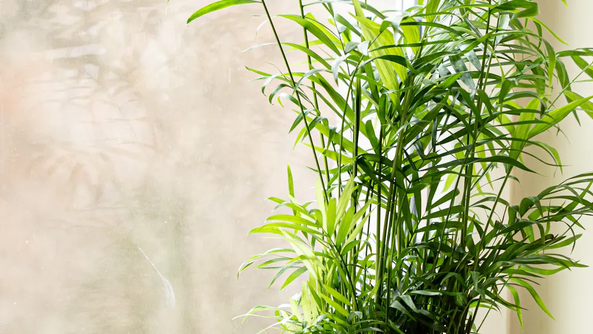 Top Benefits of Growing Rosemary in Your Garden