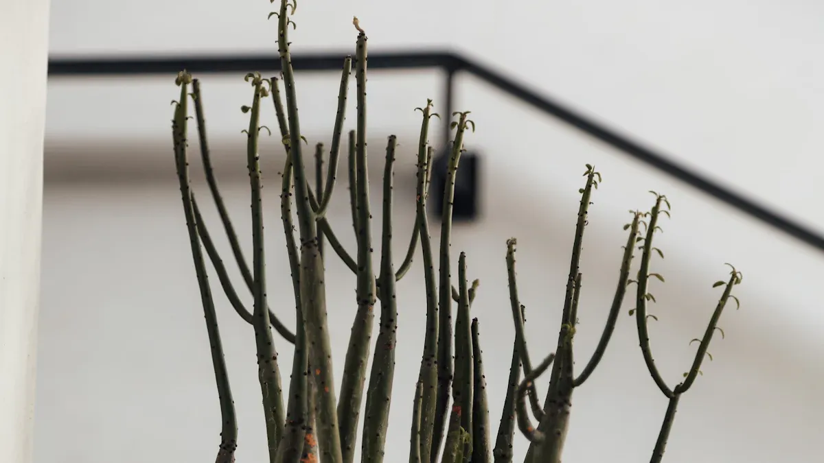 Trimming Preparation