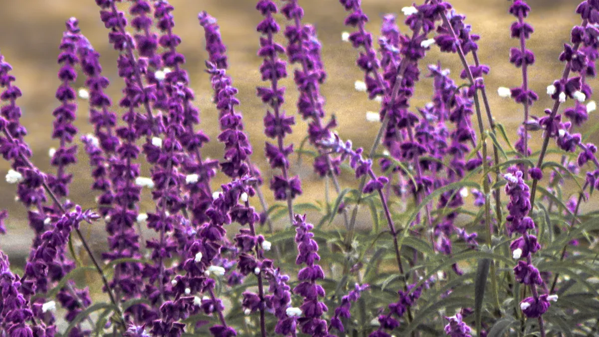 Why Space to Leave Matters