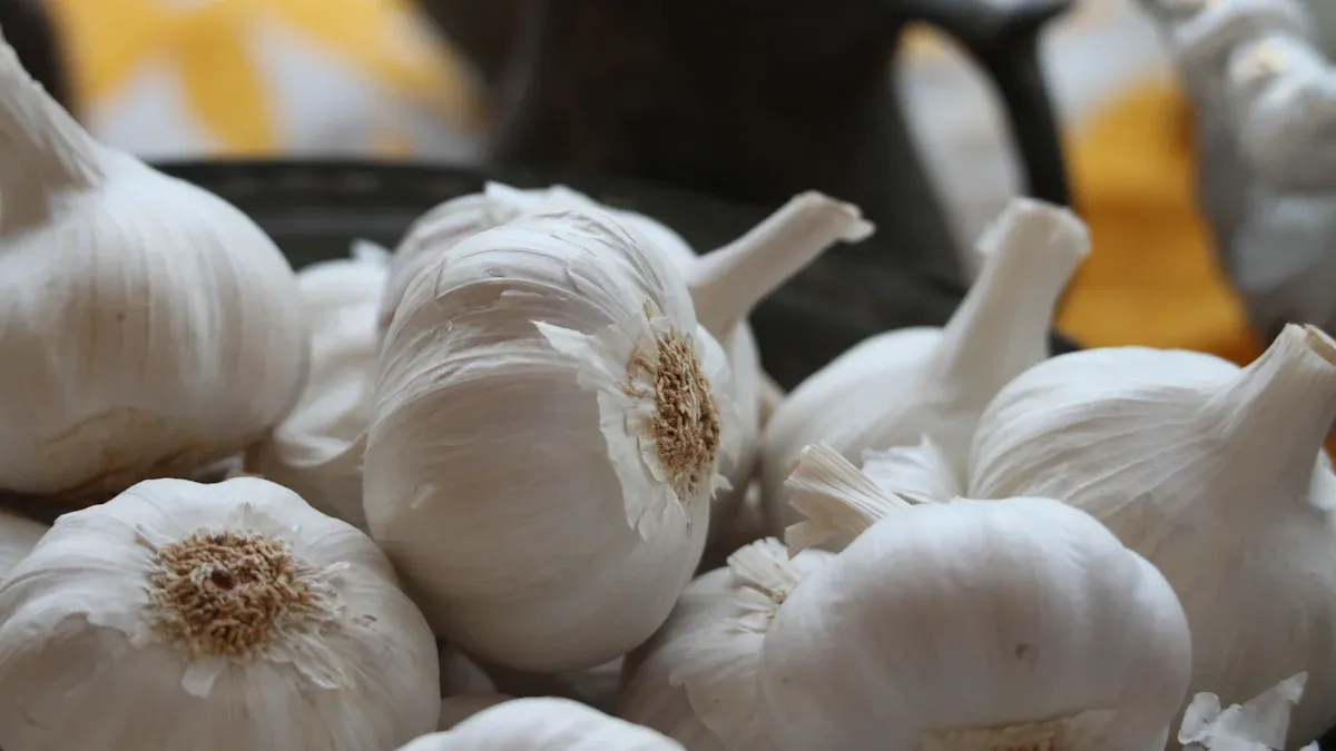 Symptoms of Fungal Problems