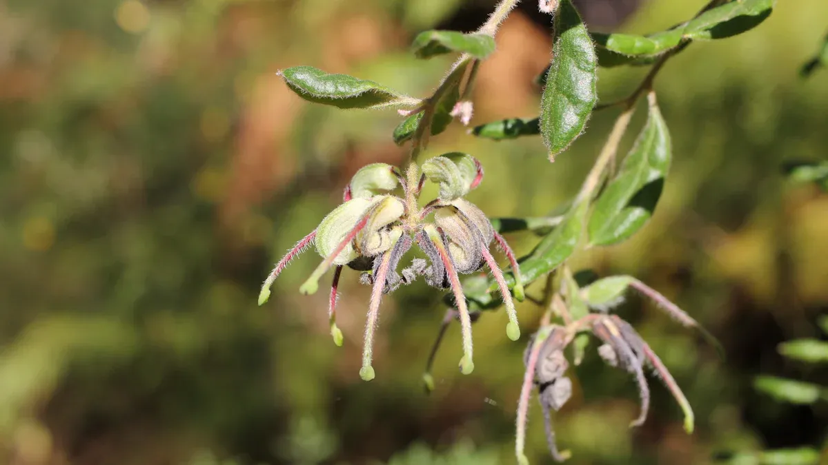 Advantages of Salt Marsh Gardening
