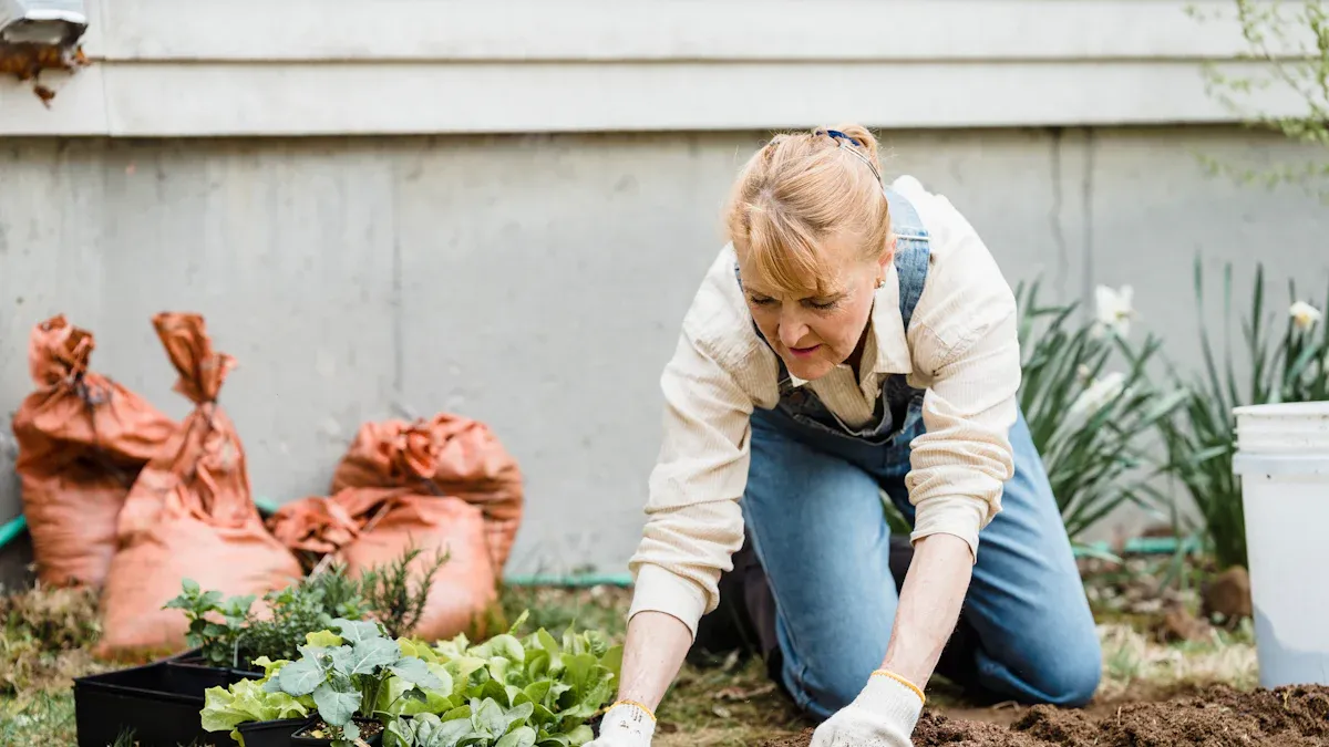 How to Propagate Sedum Plants the Right Way