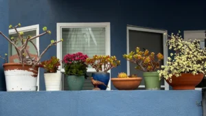 How to Fertilize Container Plants for Maximum Yield: Tips for Healthy Growth