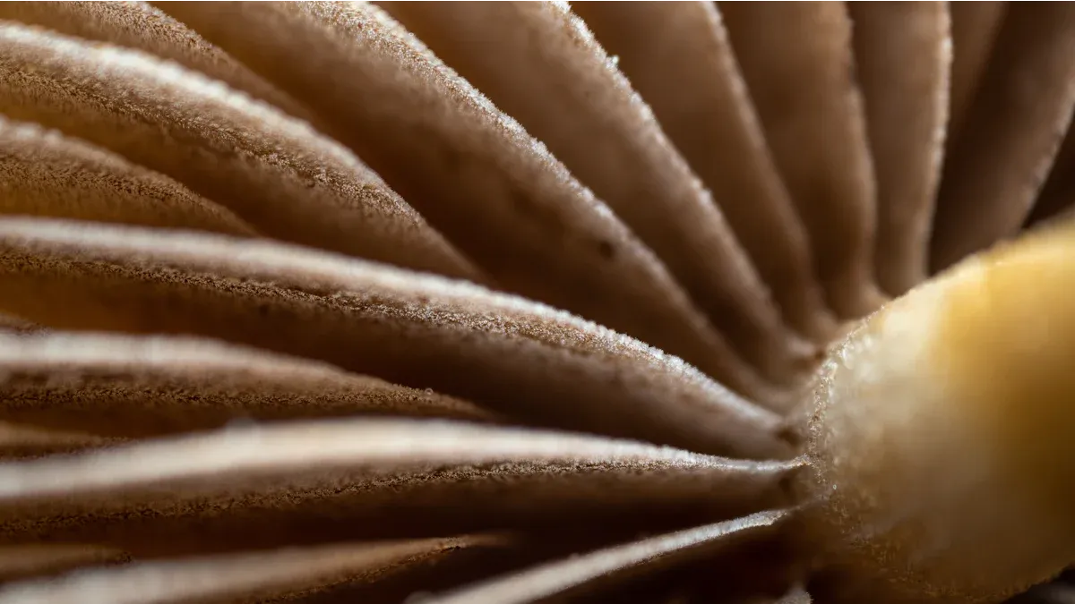 How Fungi Facilitate Decomposition in Harsh Environments