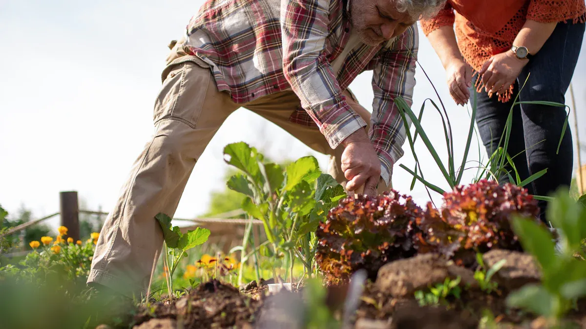 Understanding Kale Companion Planting