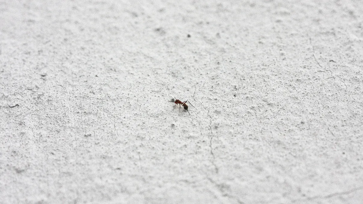 1. Identify Tiny White Bugs in Your Soil