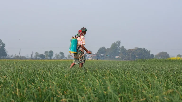 Common Clematis Plant Pests: Identification and Treatment Guide for Healthy Growth