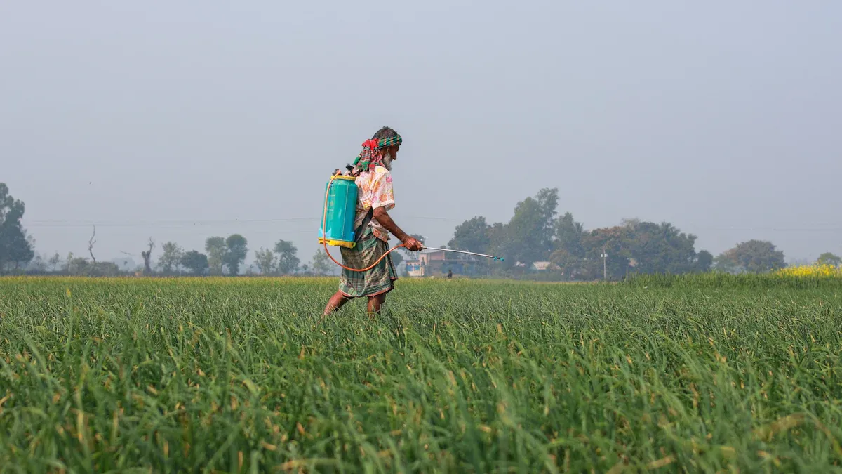 Common Clematis Plant Pests: Identification and Treatment Guide for Healthy Growth