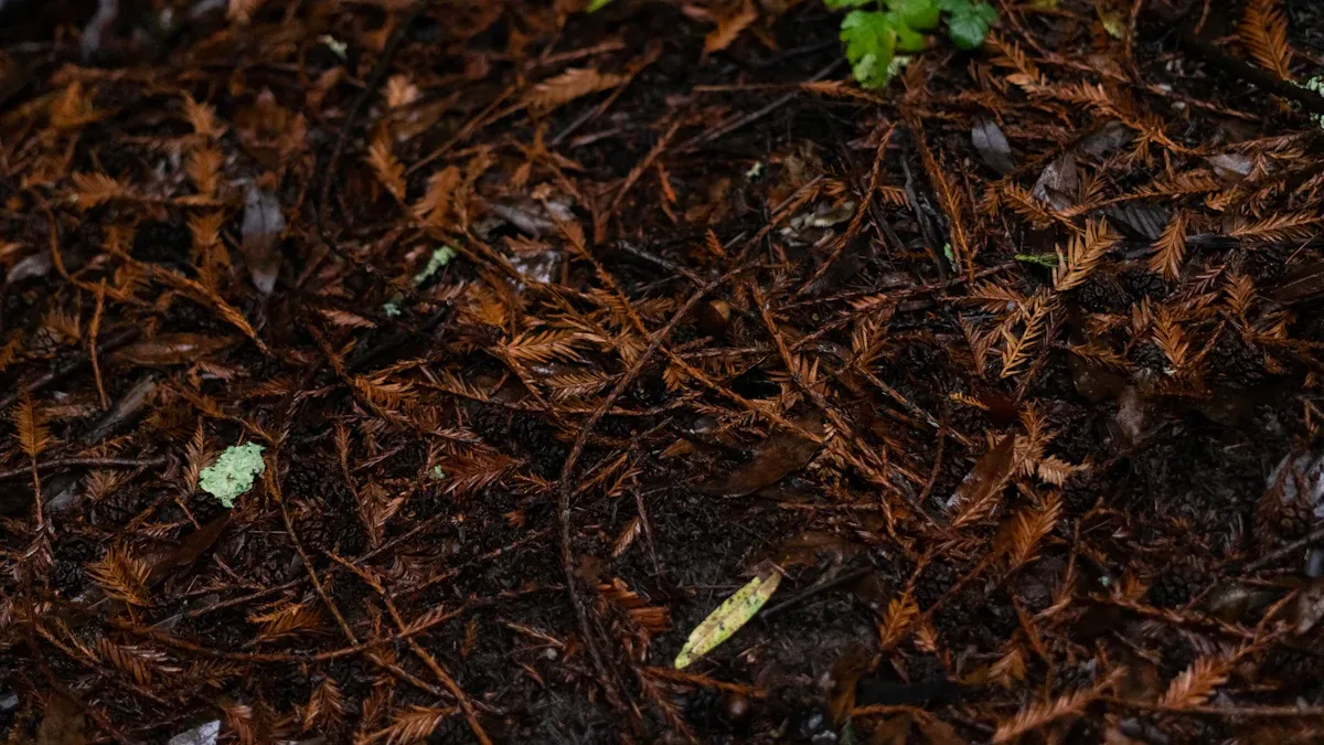 Use Fallen Leaves as Mulch