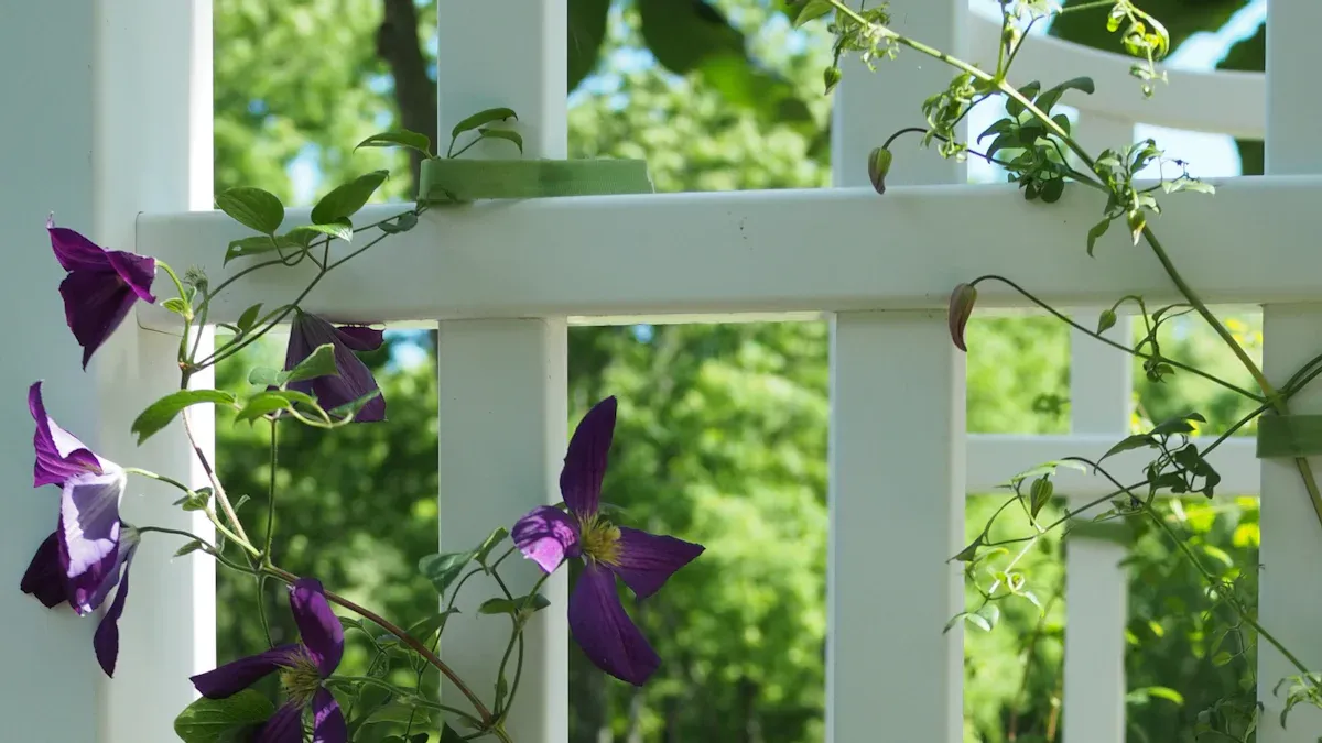Popular DIY Garden Trellis Designs