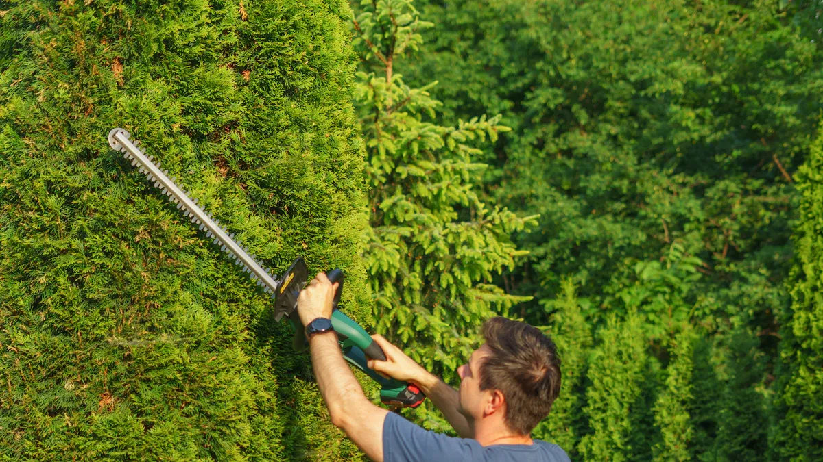 Pruning Techniques for Moss Rose