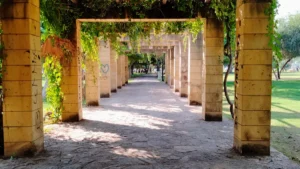 DIY Garden Trellis Plans: Build a Plant Support Frame