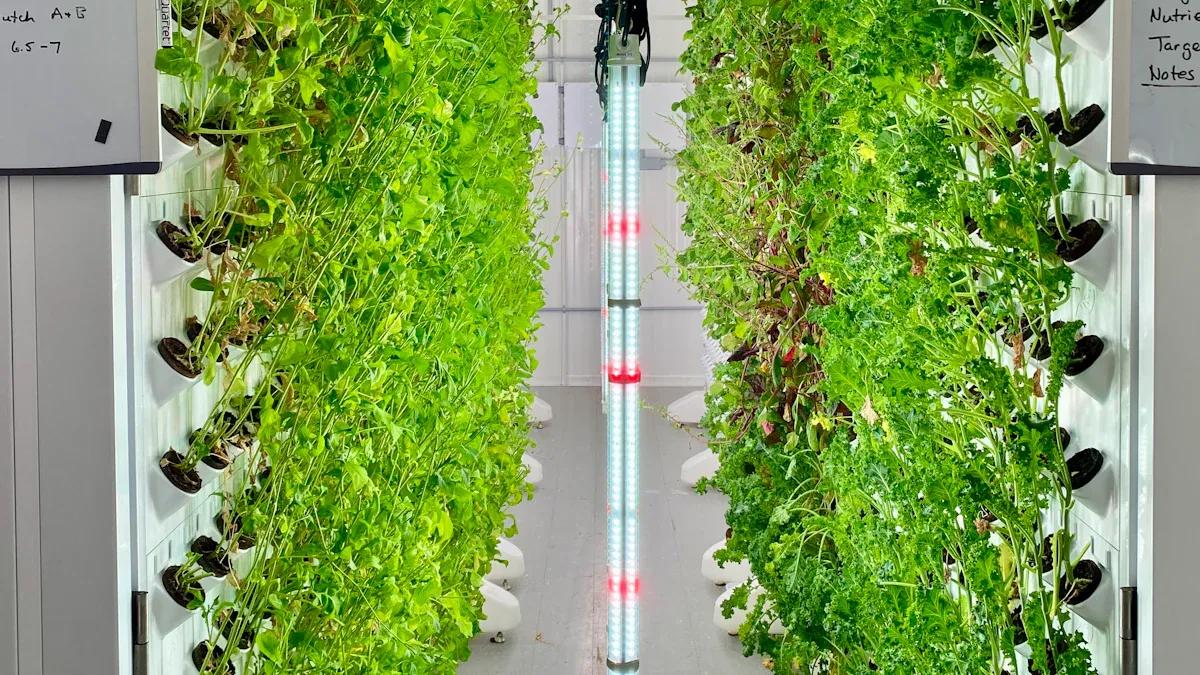 Common Hydroponic Problems and How to Fix Them