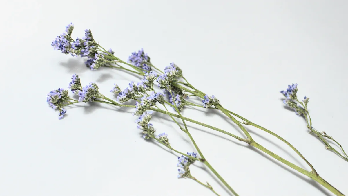 Lavender Stems