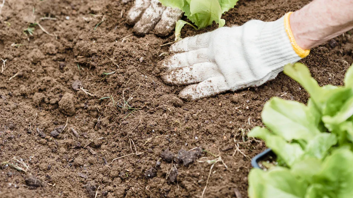 Essential Materials for a No-Dig Garden