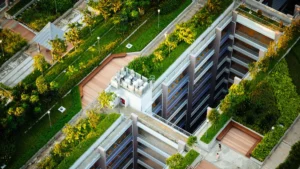 Rooftop Gardens: Advantages and Disadvantages