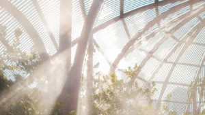 10 Tips for Managing Sun Glare in Greenhouses: Boost Your Plant Growth