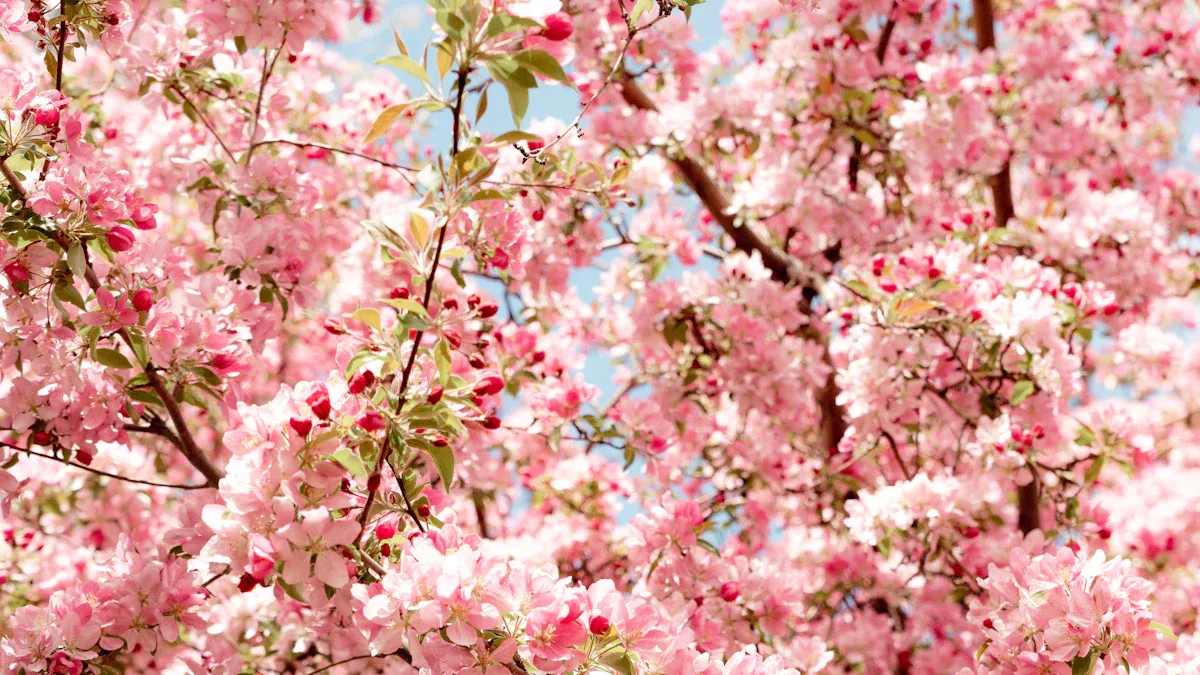 Most Popular Types of Flowers