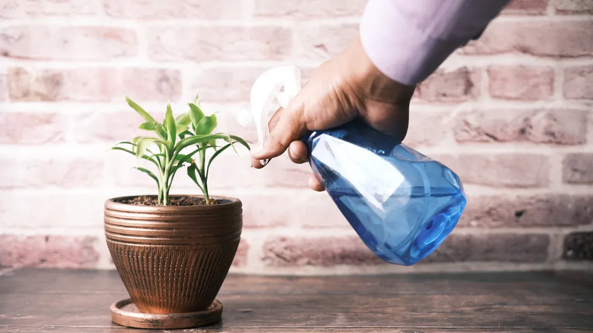 Vicks Plant Watering Guidelines