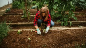 How to Easily Remove and Store Seasonal Gardening Covers