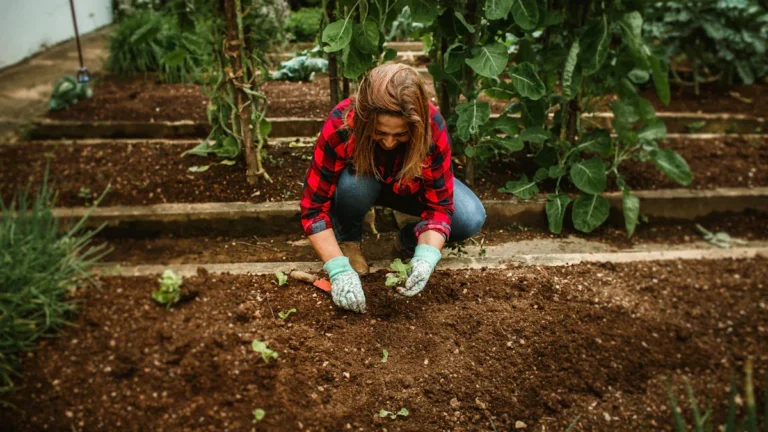 How to Easily Remove and Store Seasonal Gardening Covers
