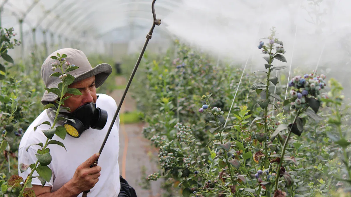 Safe Spraying Practices