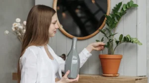 How to Save a Dying Codiaeum Plant