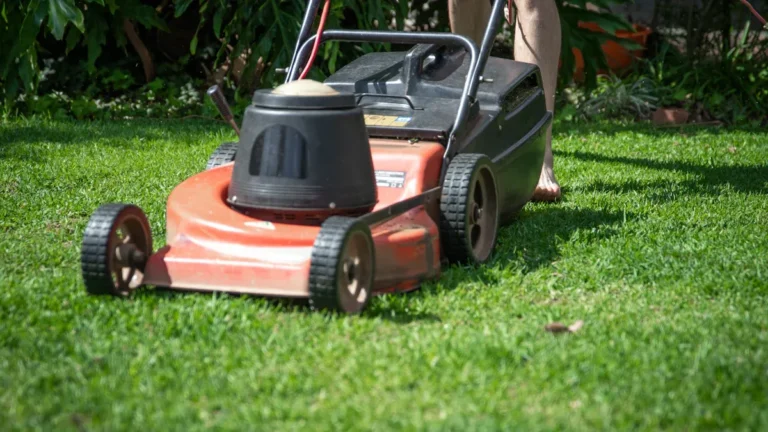 How to Effectively Use a Chipper for Large Branches