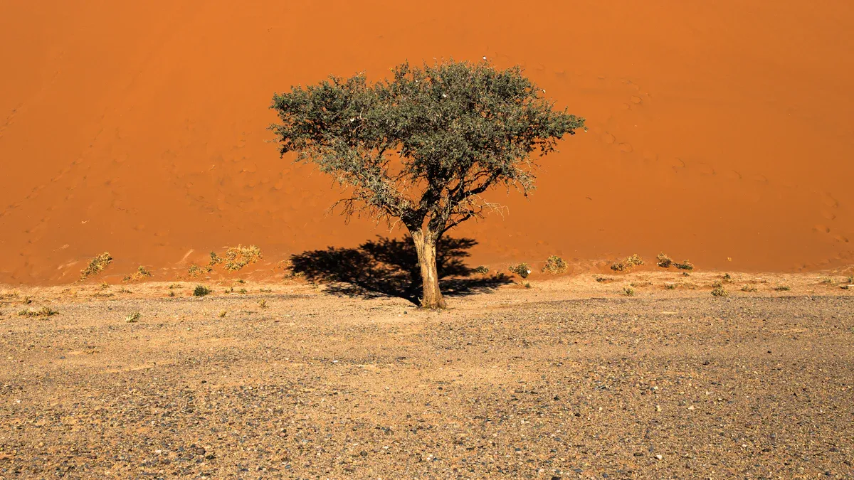 Plant Adaptations to Extreme Conditions