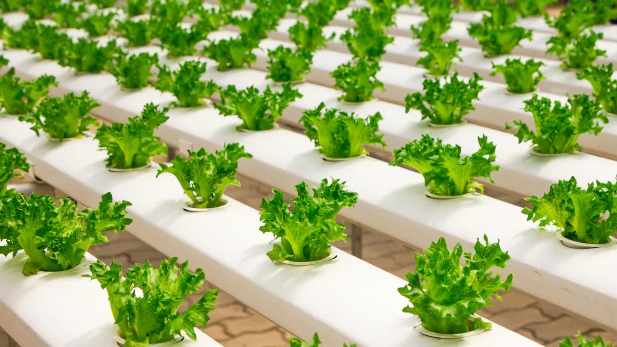 Aeroponics Overview