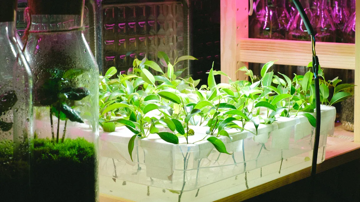 Indoor Gardening Essentials : Comprehensive Guide to Light, Soil, Tools, Tips, Care and Techniques for Every Space