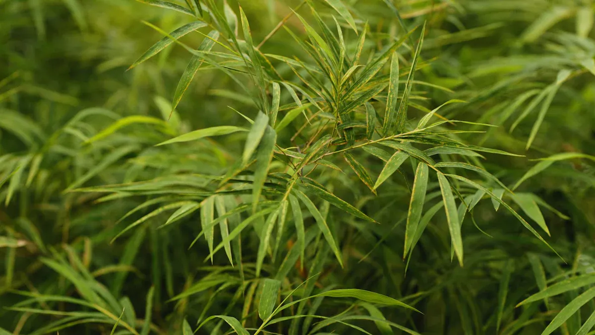 Choosing the Right Soil for Your Bamboo Plant: What You Need to Know for Healthy Growth