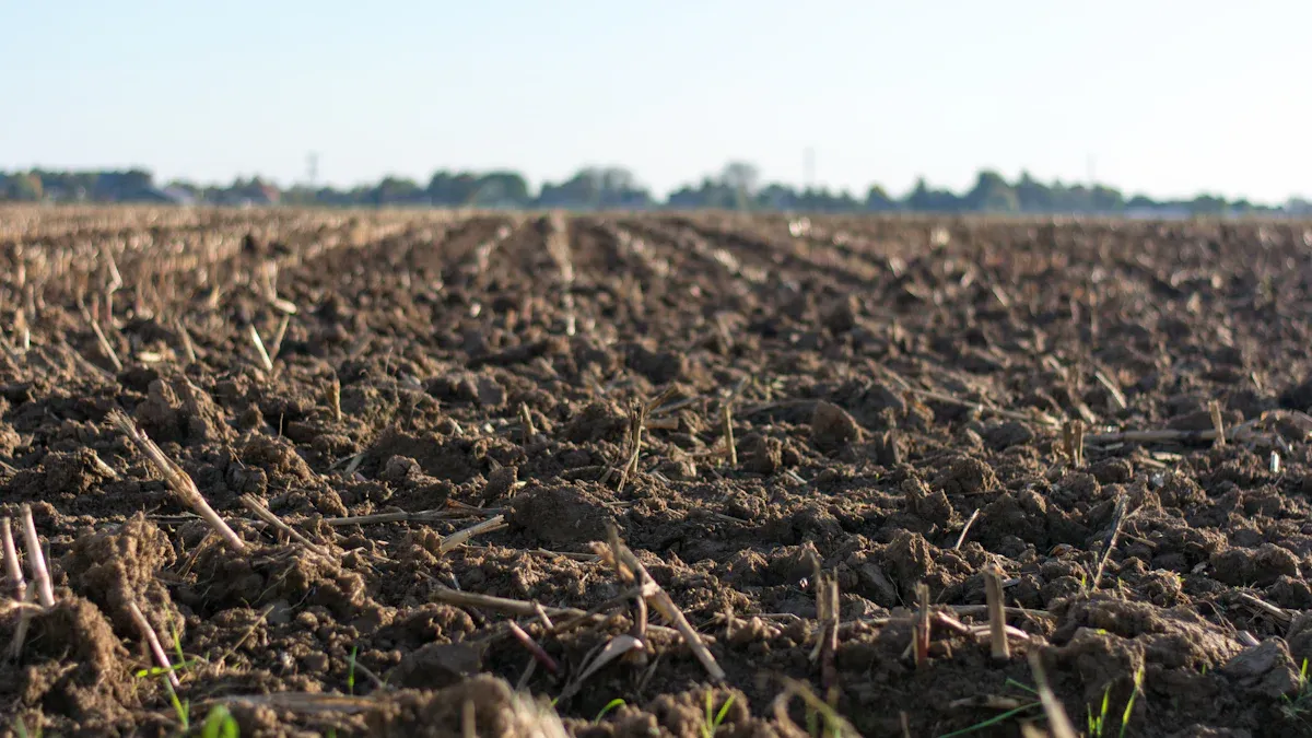 Ideal Soil Characteristics