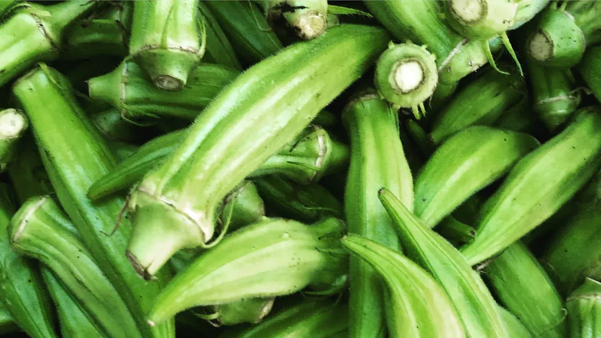 Nutrient Needs for Okra